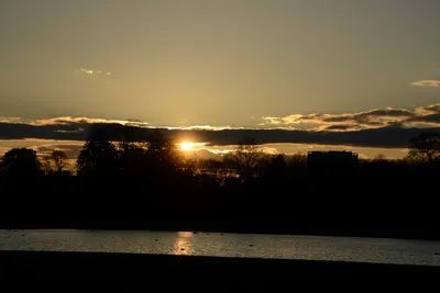 DSC_7155 (Large).JPG